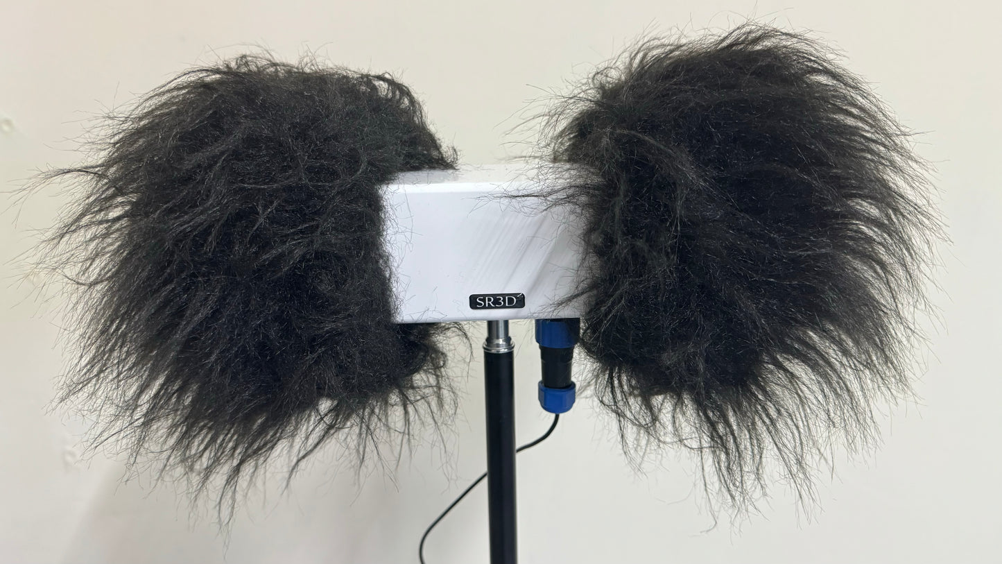 Outdoor weatherproof binaural microphone