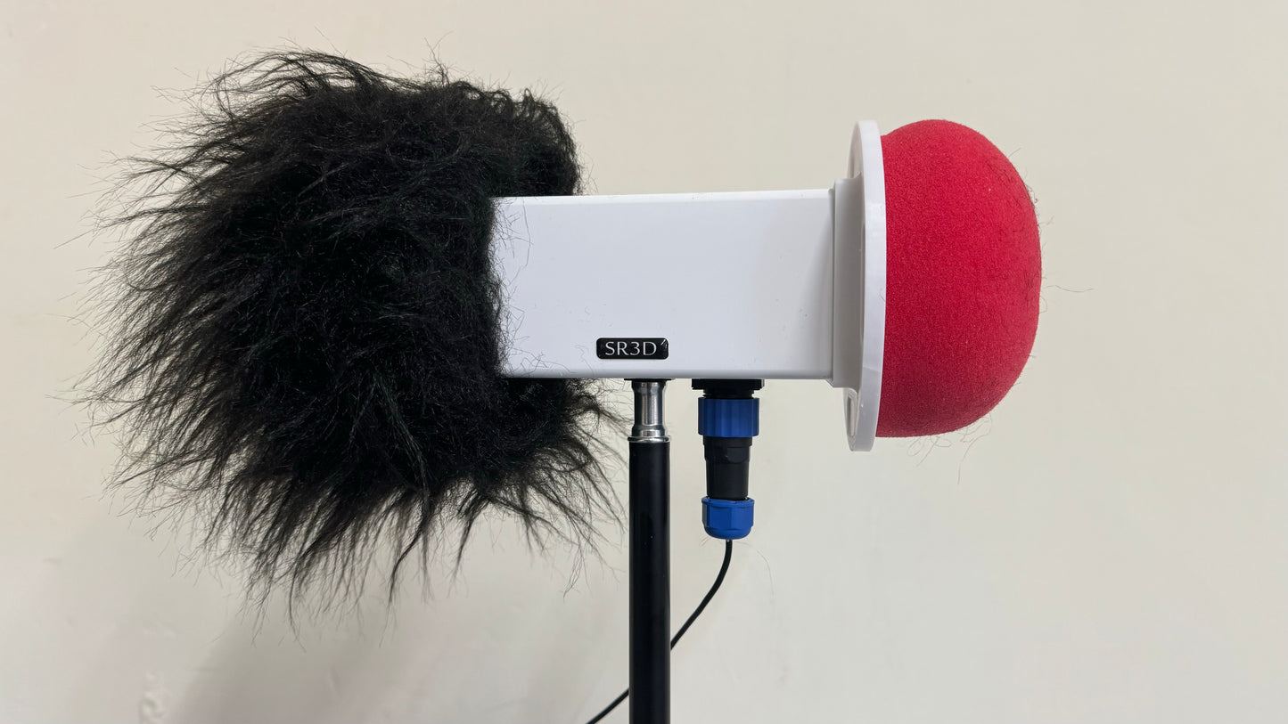 Outdoor weatherproof binaural microphone