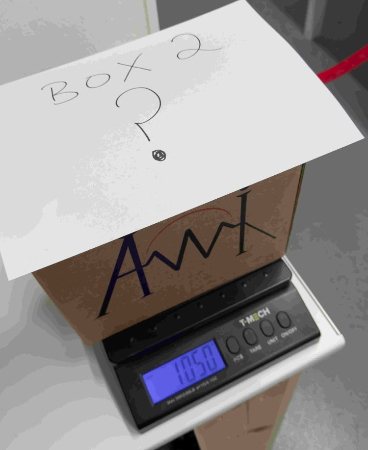 Lucky Dip - Mystery Box!