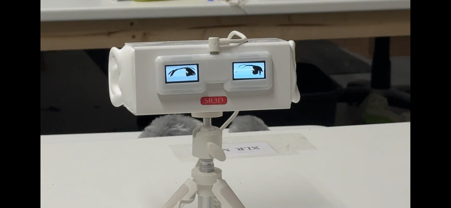 Auto Eyes - electronic sceen eyes
