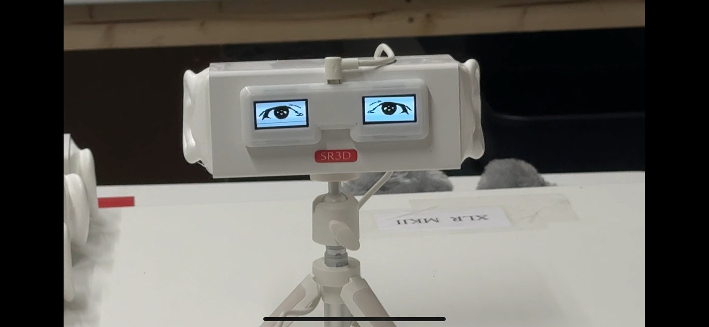 Auto Eyes - electronic sceen eyes