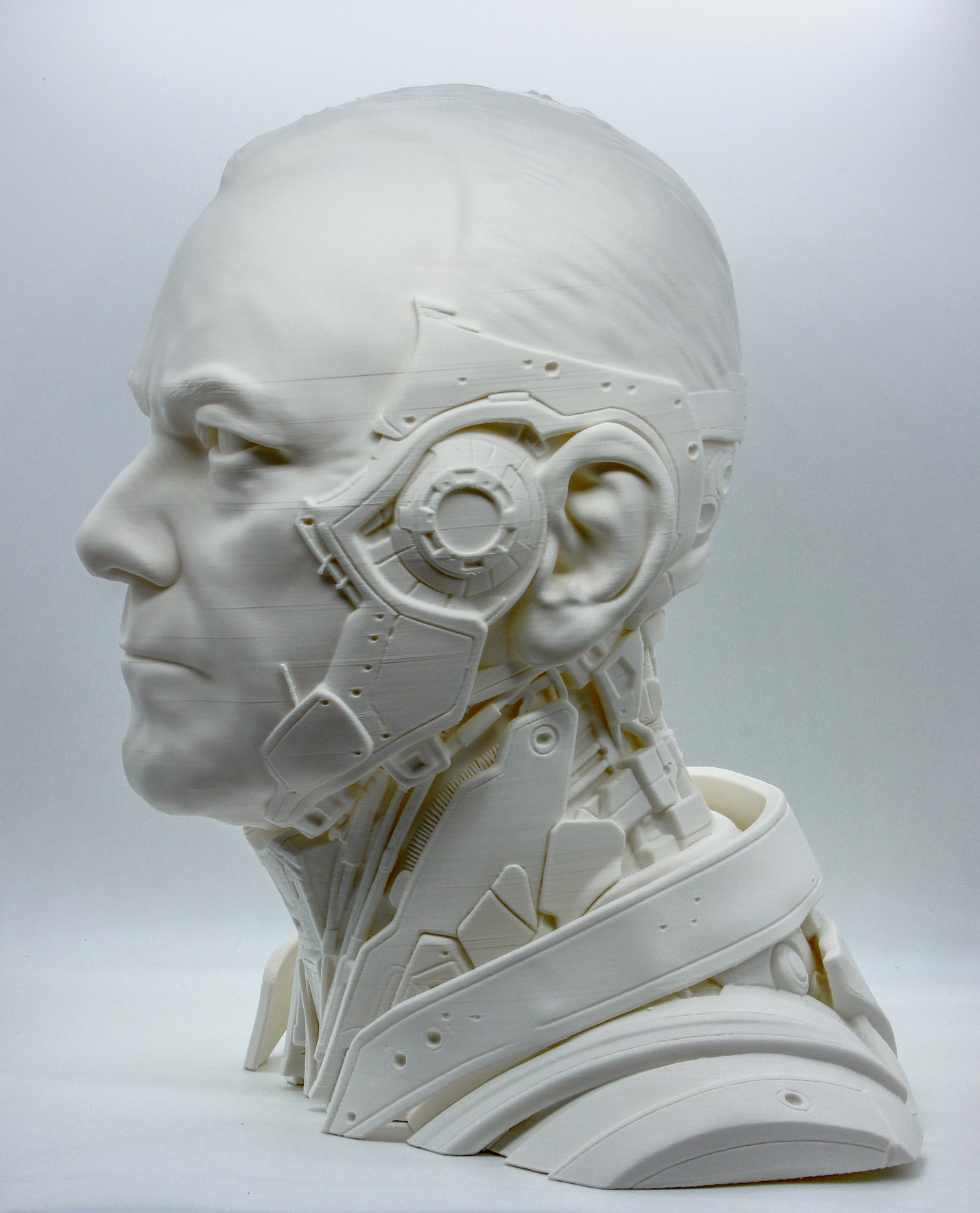 Customise your own dummy head!